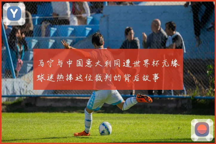 马宁与中国意大利同遭世界杯无缘球迷热捧这位裁判的背后故事