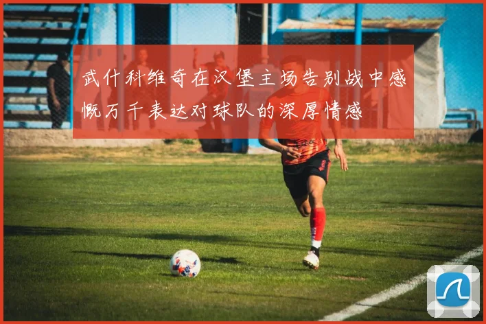武什科维奇在汉堡主场告别战中感慨万千表达对球队的深厚情感