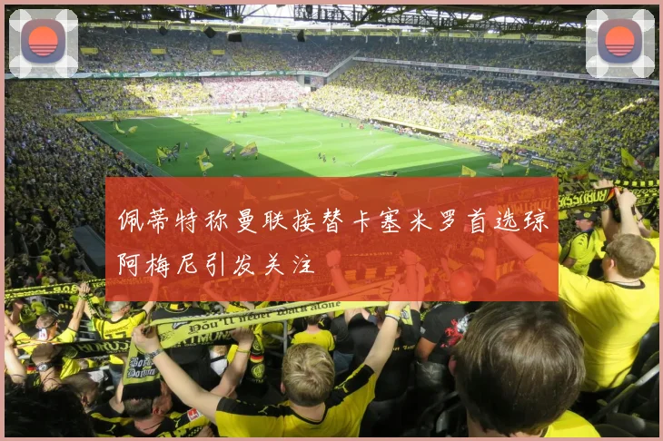 佩蒂特称曼联接替卡塞米罗首选琼阿梅尼引发关注